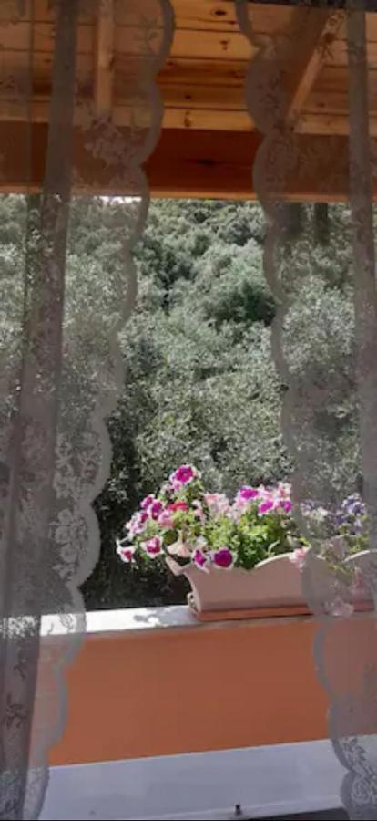 Armonia Apartments Corfu  Kültér fotó