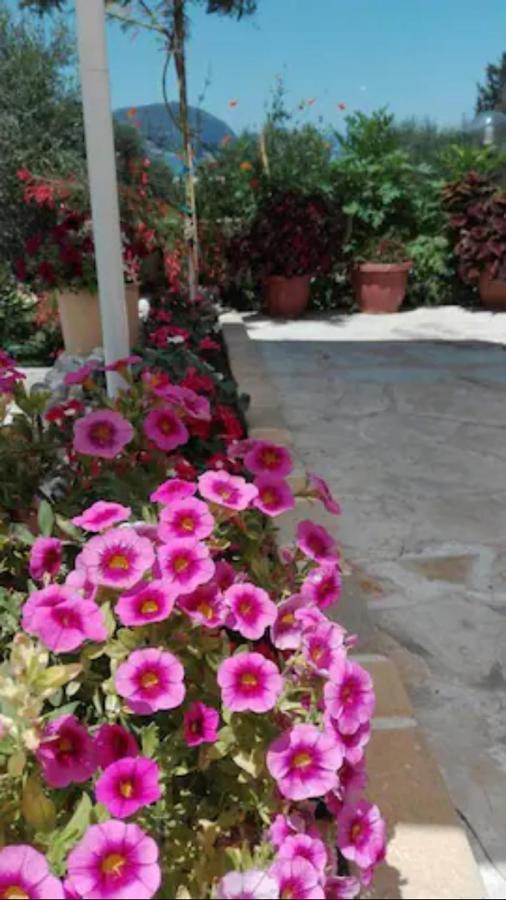 Armonia Apartments Corfu  Kültér fotó